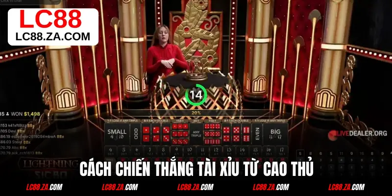 Cách chiến thắng tài xỉu từ cao thủ