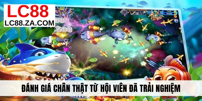 Đánh giá chân thật từ hội viên đã trải nghiệm