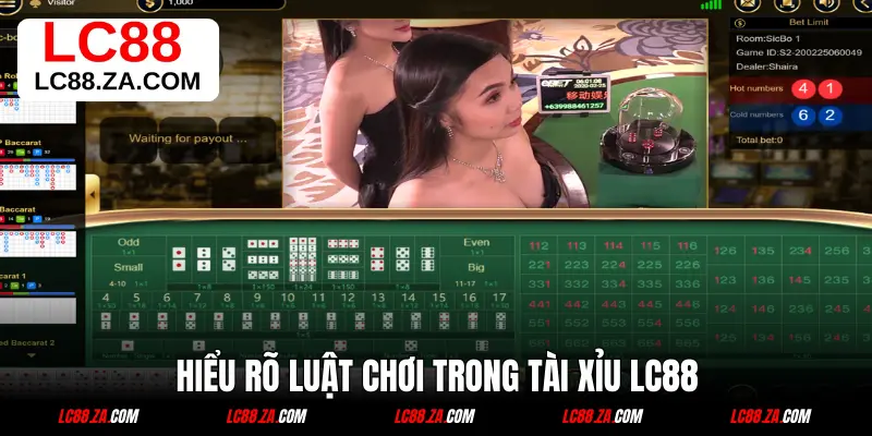 HIểu rõ luật chơi trong tài xỉu LC88