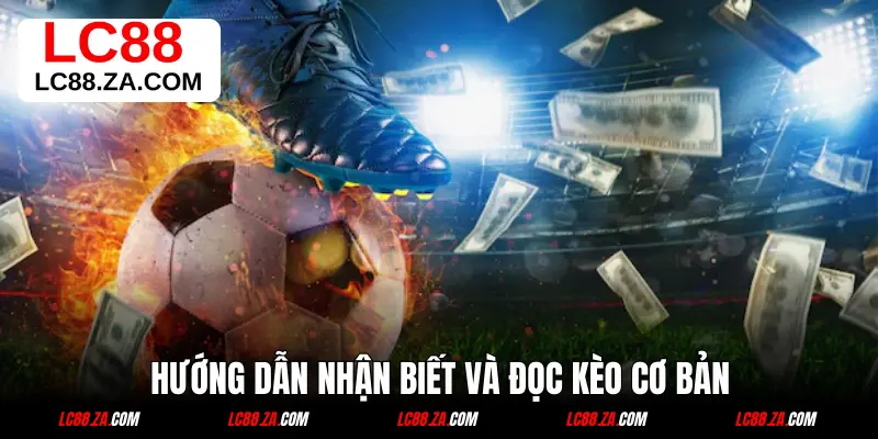 Hướng dẫn nhận biết và đọc kèo cơ bản