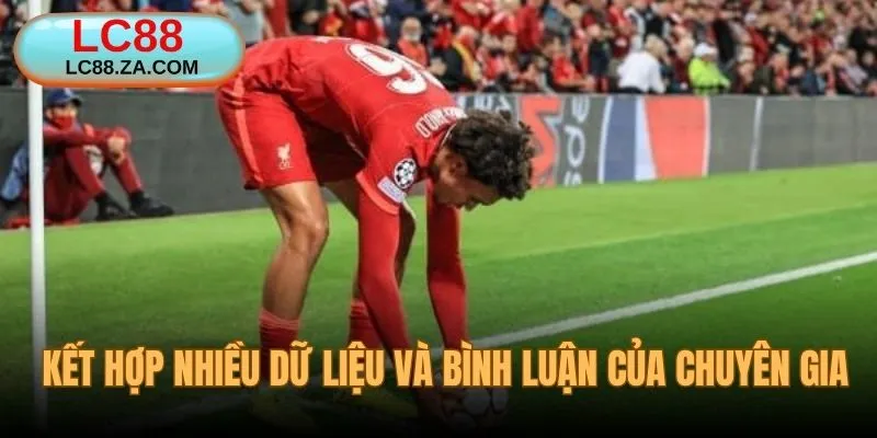 Kết hợp nhiều dữ liệu và bình luận của chuyên gia