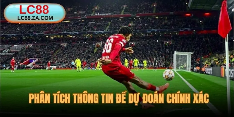 Phân tích thông tin để có dự đoán chuẩn xác nhất